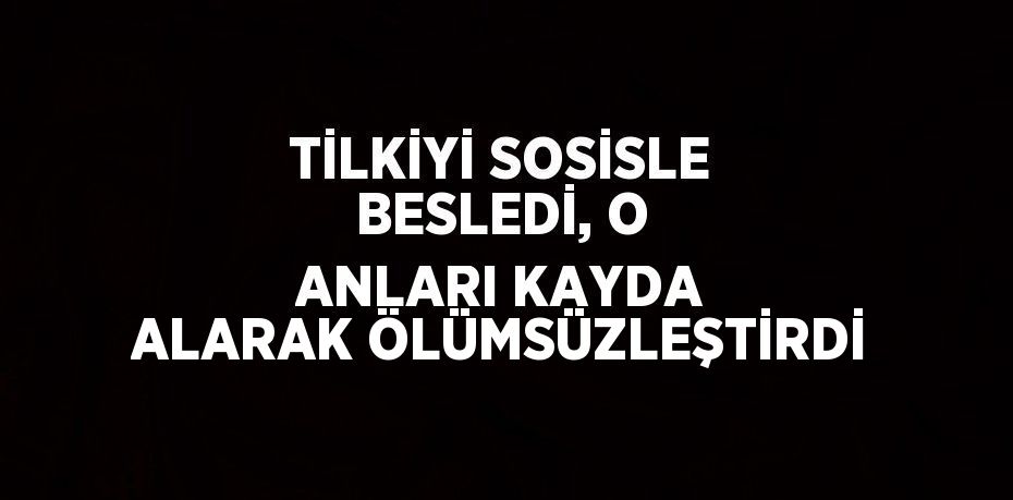 TİLKİYİ SOSİSLE BESLEDİ, O ANLARI KAYDA ALARAK ÖLÜMSÜZLEŞTİRDİ