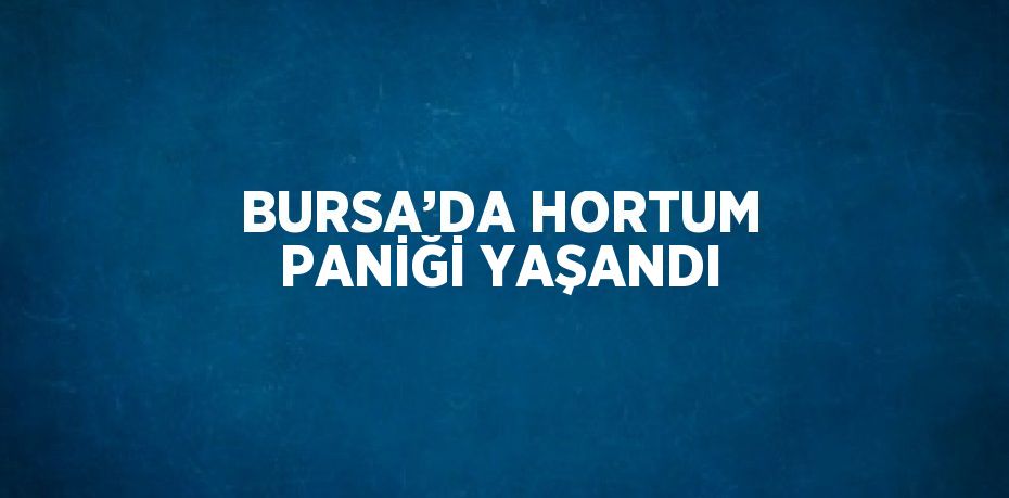 BURSA’DA HORTUM PANİĞİ YAŞANDI