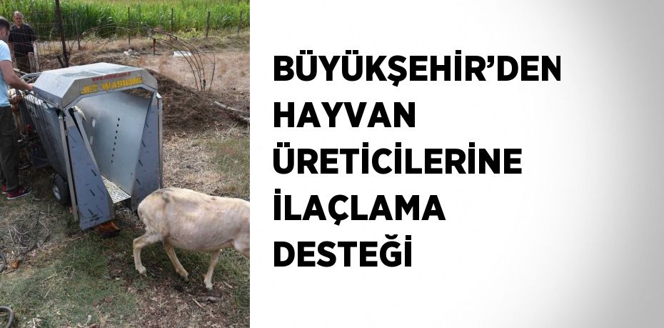 BÜYÜKŞEHİR’DEN HAYVAN ÜRETİCİLERİNE İLAÇLAMA DESTEĞİ