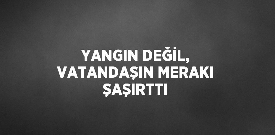 YANGIN DEĞİL, VATANDAŞIN MERAKI ŞAŞIRTTI