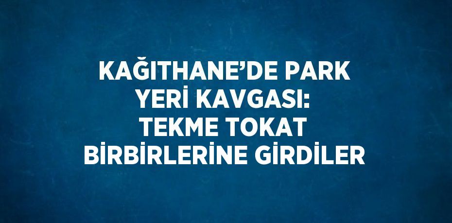 KAĞITHANE’DE PARK YERİ KAVGASI: TEKME TOKAT BİRBİRLERİNE GİRDİLER