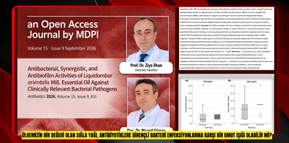 Ülkemizin Bir Değeri Olan Sığla Yağı, Antibiyotiklere Dirençli Bakteri Enfeksiyonlarına Karşı Bir Umut Işığı Olabilir Mi?