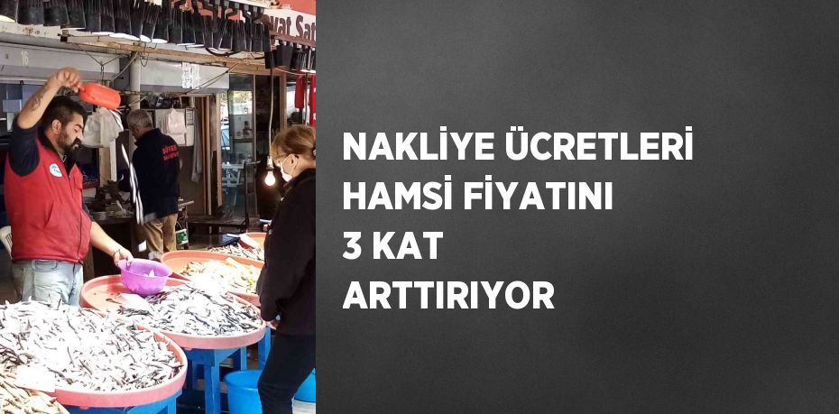 NAKLİYE ÜCRETLERİ HAMSİ FİYATINI 3 KAT ARTTIRIYOR