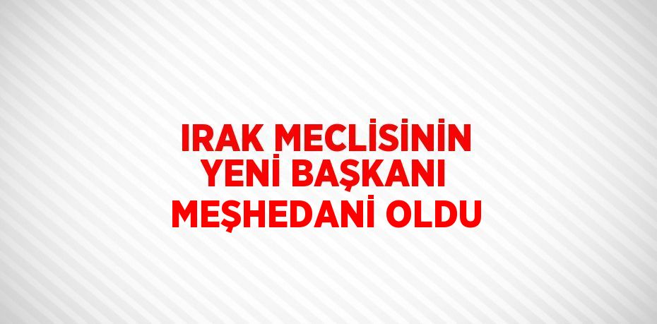 IRAK MECLİSİNİN YENİ BAŞKANI MEŞHEDANİ OLDU