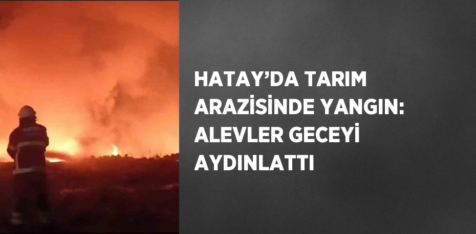 HATAY’DA TARIM ARAZİSİNDE YANGIN: ALEVLER GECEYİ AYDINLATTI