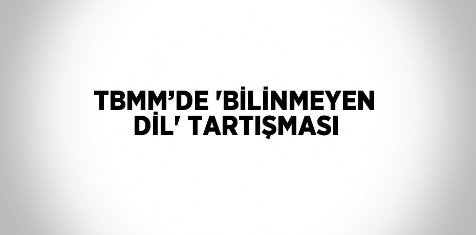 TBMM’DE 'BİLİNMEYEN DİL' TARTIŞMASI