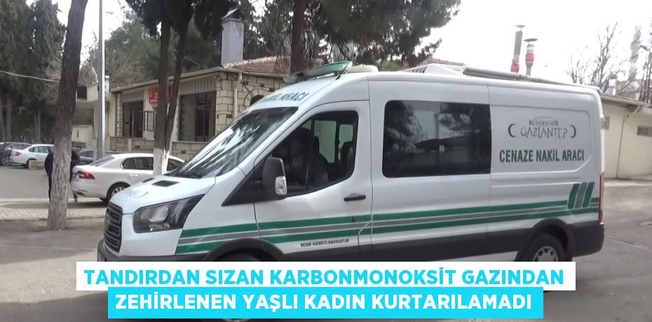 TANDIRDAN SIZAN KARBONMONOKSİT GAZINDAN ZEHİRLENEN YAŞLI KADIN KURTARILAMADI