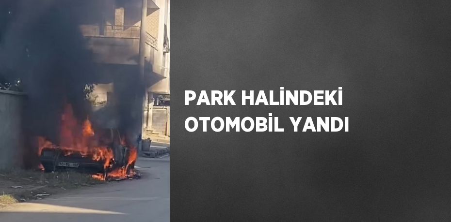 PARK HALİNDEKİ OTOMOBİL YANDI