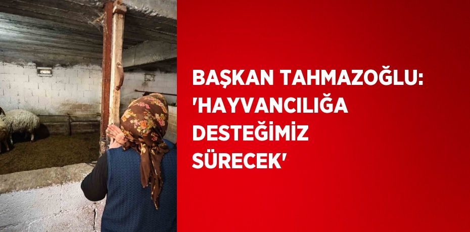 BAŞKAN TAHMAZOĞLU: 'HAYVANCILIĞA DESTEĞİMİZ SÜRECEK'