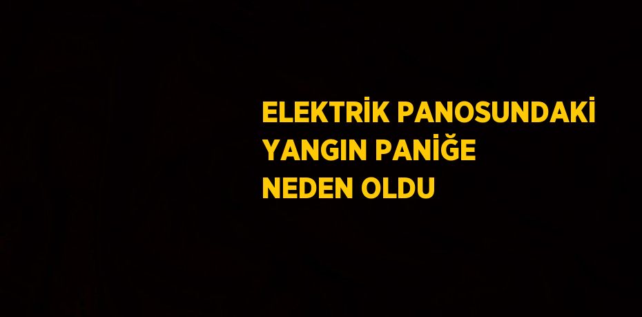 ELEKTRİK PANOSUNDAKİ YANGIN PANİĞE NEDEN OLDU