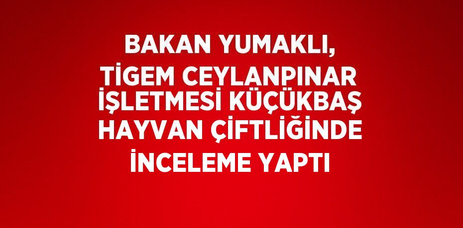 BAKAN YUMAKLI, TİGEM CEYLANPINAR İŞLETMESİ KÜÇÜKBAŞ HAYVAN ÇİFTLİĞİNDE İNCELEME YAPTI