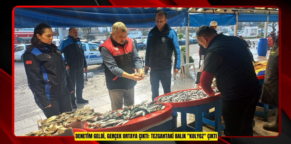 Denetim geldi, gerçek ortaya çıktı: Tezgahtaki balık &quot;kolyoz&quot; çıktı