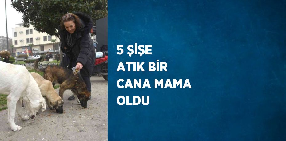 5 ŞİŞE ATIK BİR CANA MAMA OLDU