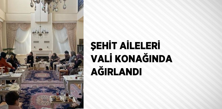 ŞEHİT AİLELERİ VALİ KONAĞINDA AĞIRLANDI