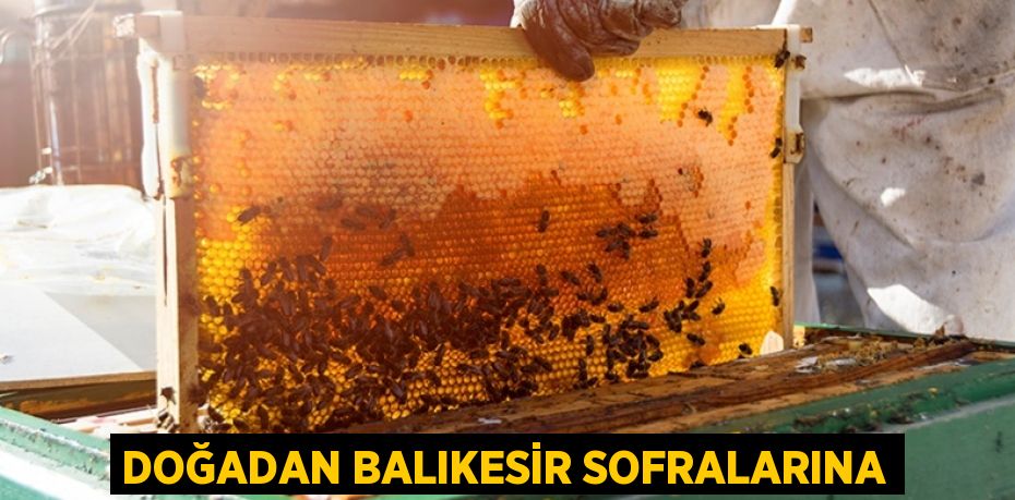 DOĞADAN BALIKESİR SOFRALARINA