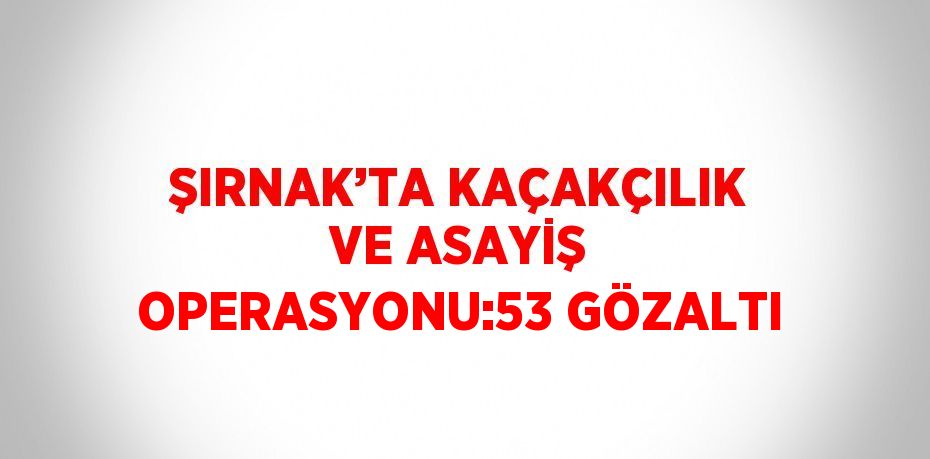 ŞIRNAK’TA KAÇAKÇILIK VE ASAYİŞ OPERASYONU:53 GÖZALTI