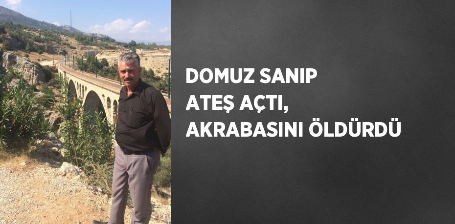 DOMUZ SANIP ATEŞ AÇTI, AKRABASINI ÖLDÜRDÜ