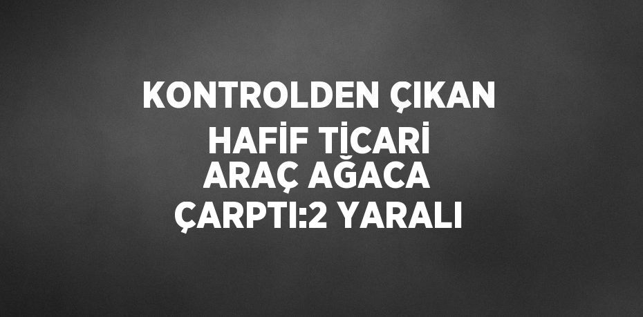 KONTROLDEN ÇIKAN HAFİF TİCARİ ARAÇ AĞACA ÇARPTI:2 YARALI