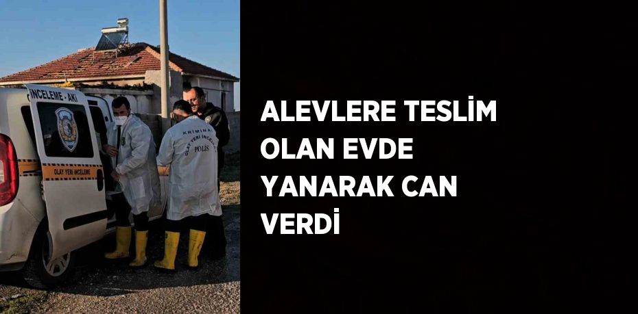 ALEVLERE TESLİM OLAN EVDE YANARAK CAN VERDİ