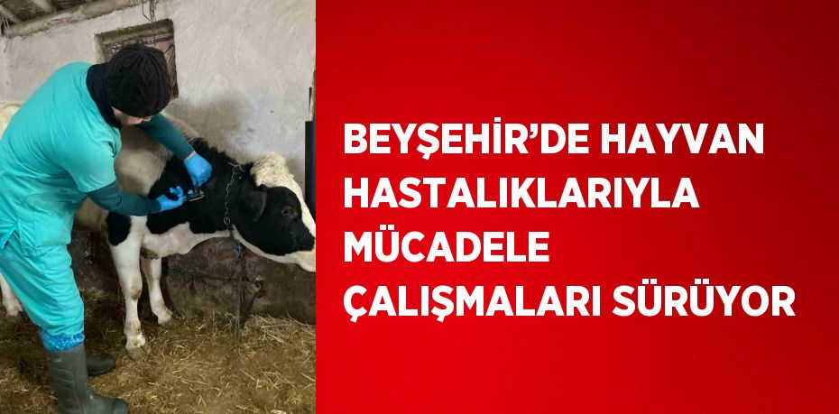 BEYŞEHİR’DE HAYVAN HASTALIKLARIYLA MÜCADELE ÇALIŞMALARI SÜRÜYOR