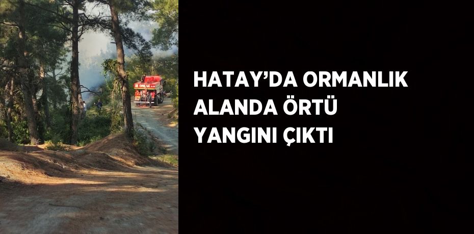 HATAY’DA ORMANLIK ALANDA ÖRTÜ YANGINI ÇIKTI