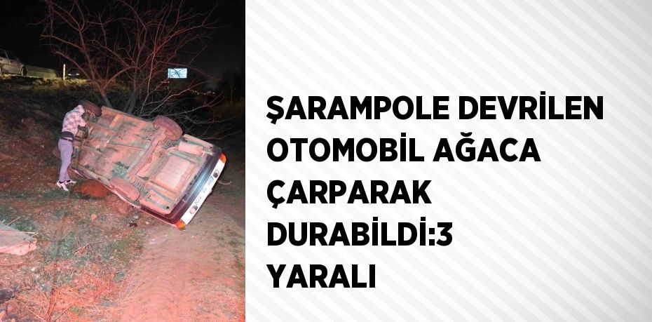 ŞARAMPOLE DEVRİLEN OTOMOBİL AĞACA ÇARPARAK DURABİLDİ:3 YARALI