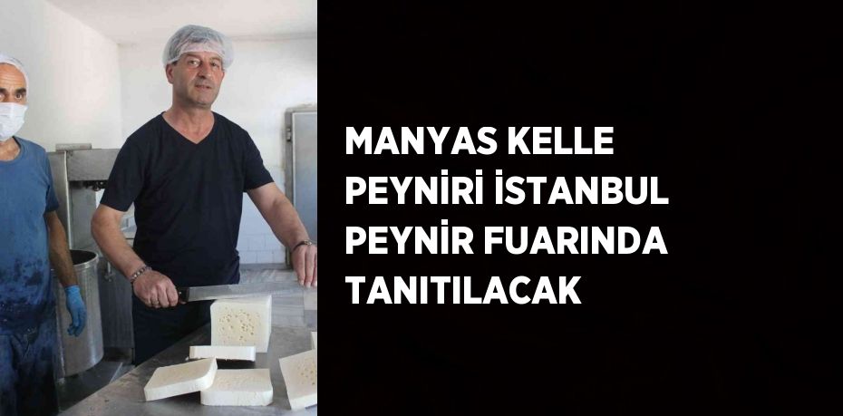 MANYAS KELLE PEYNİRİ İSTANBUL PEYNİR FUARINDA TANITILACAK