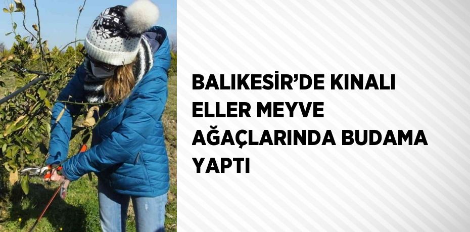 BALIKESİR’DE KINALI ELLER MEYVE AĞAÇLARINDA BUDAMA YAPTI