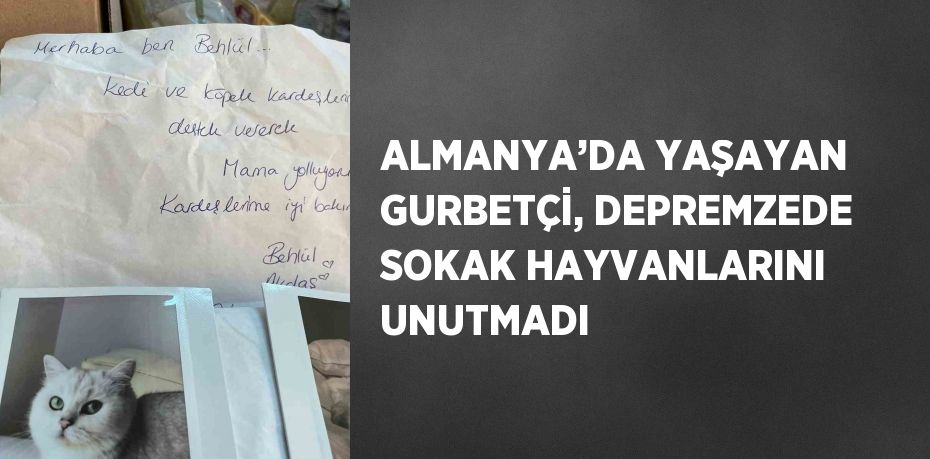 ALMANYA’DA YAŞAYAN GURBETÇİ, DEPREMZEDE SOKAK HAYVANLARINI UNUTMADI