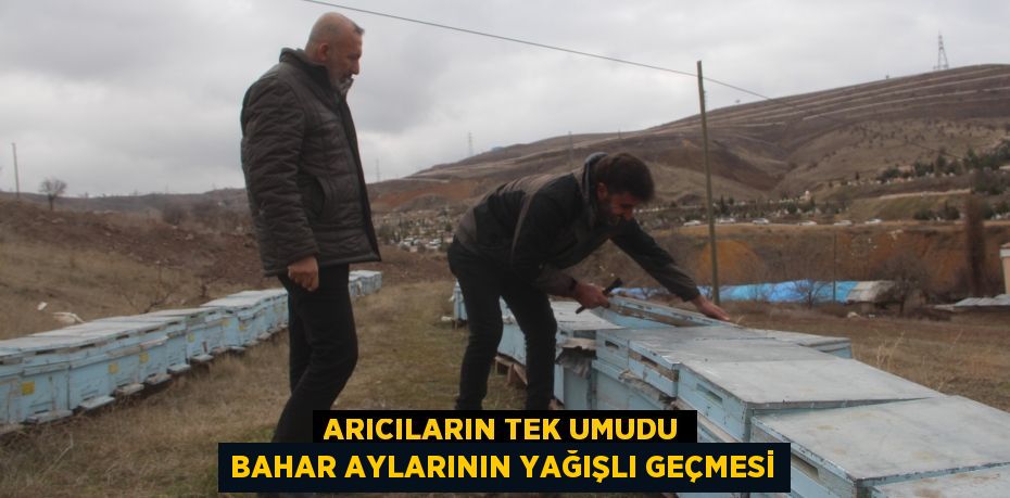 Arıcıların tek umudu bahar aylarının yağışlı geçmesi