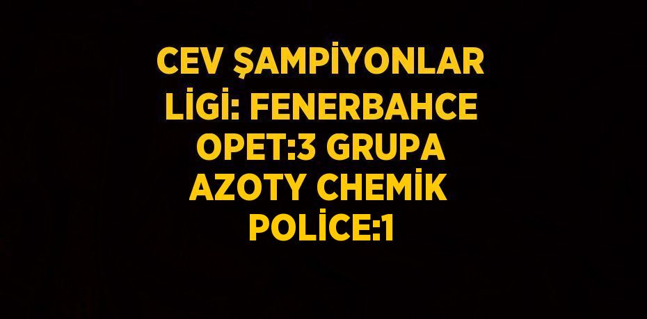 CEV ŞAMPİYONLAR LİGİ: FENERBAHCE OPET:3 GRUPA AZOTY CHEMİK POLİCE:1