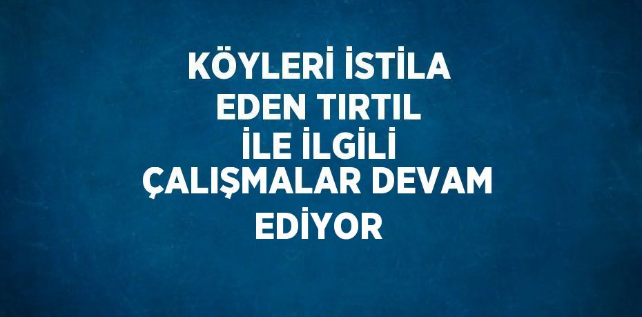 KÖYLERİ İSTİLA EDEN TIRTIL İLE İLGİLİ ÇALIŞMALAR DEVAM EDİYOR