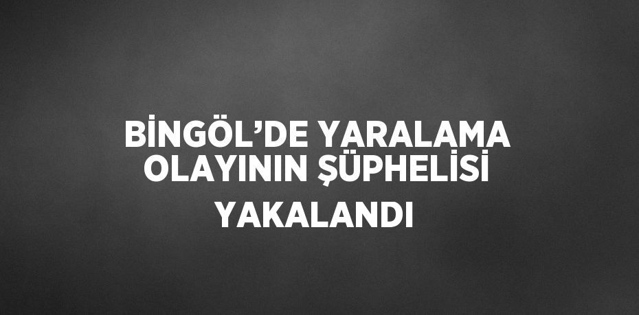 BİNGÖL’DE YARALAMA OLAYININ ŞÜPHELİSİ YAKALANDI