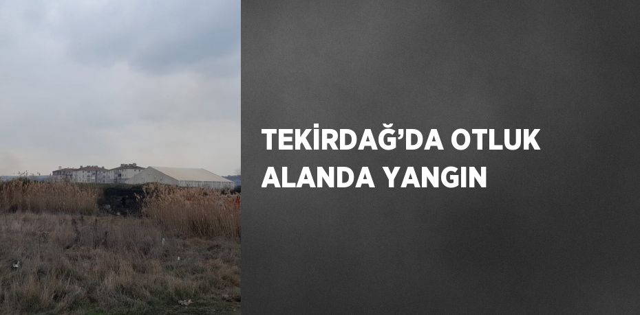 TEKİRDAĞ’DA OTLUK ALANDA YANGIN