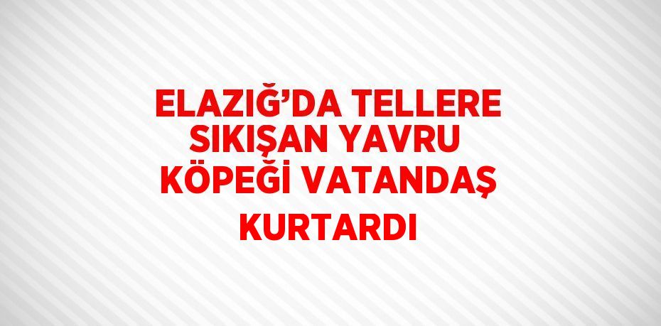 ELAZIĞ’DA TELLERE SIKIŞAN YAVRU KÖPEĞİ VATANDAŞ KURTARDI