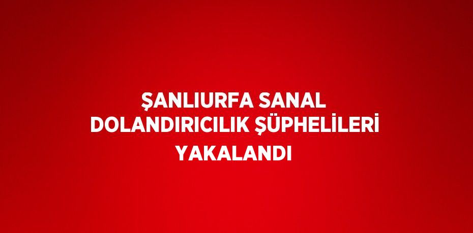 ŞANLIURFA SANAL DOLANDIRICILIK ŞÜPHELİLERİ YAKALANDI