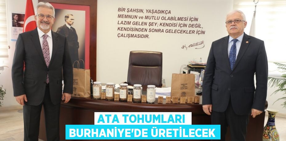 ATA TOHUMLARI BURHANİYE’DE ÜRETİLECEK