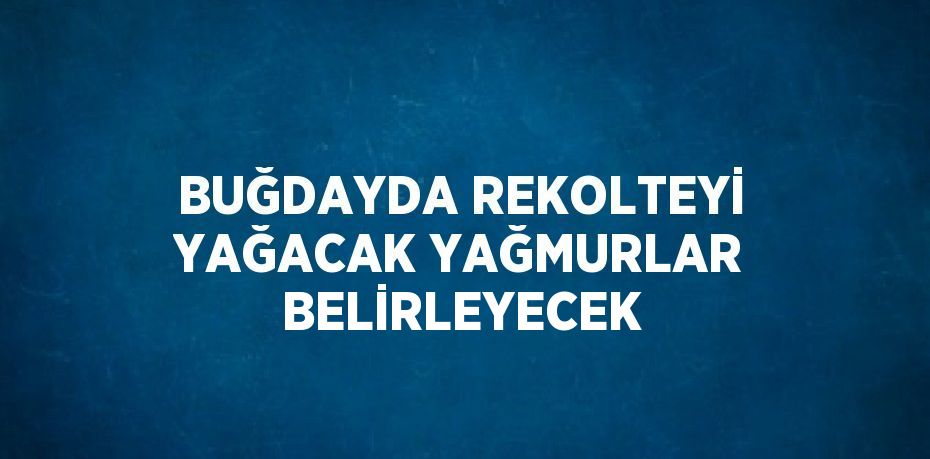 BUĞDAYDA REKOLTEYİ YAĞACAK YAĞMURLAR BELİRLEYECEK