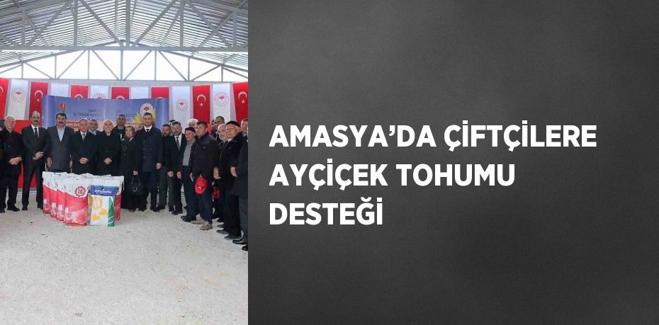 AMASYA’DA ÇİFTÇİLERE AYÇİÇEK TOHUMU DESTEĞİ