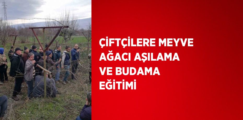 ÇİFTÇİLERE MEYVE AĞACI AŞILAMA VE BUDAMA EĞİTİMİ