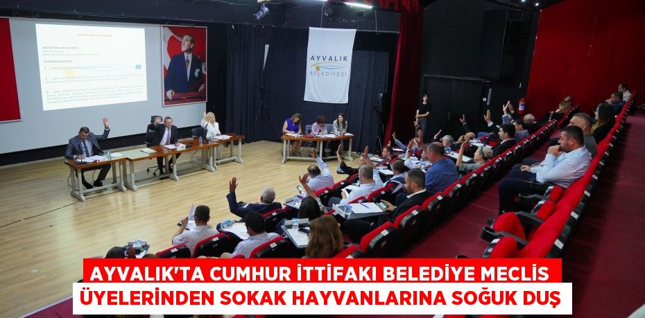 AYVALIK’TA CUMHUR İTTİFAKI BELEDİYE MECLİS ÜYELERİNDEN SOKAK HAYVANLARINA SOĞUK DUŞ