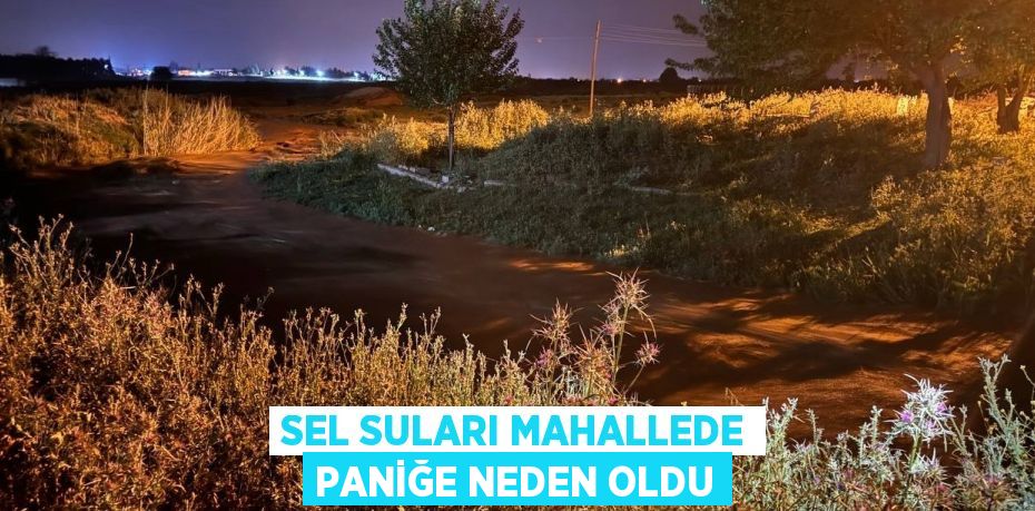 SEL SULARI MAHALLEDE PANİĞE NEDEN OLDU