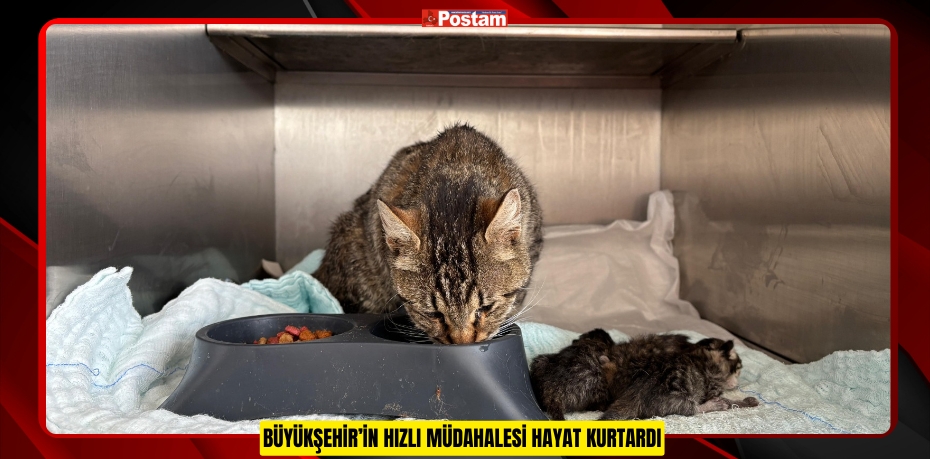 BÜYÜKŞEHİR’İN HIZLI MÜDAHALESİ HAYAT KURTARDI