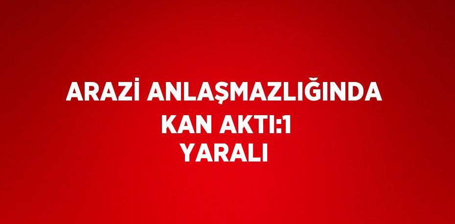 ARAZİ ANLAŞMAZLIĞINDA KAN AKTI:1 YARALI