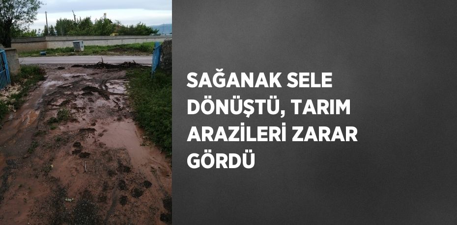 SAĞANAK SELE DÖNÜŞTÜ, TARIM ARAZİLERİ ZARAR GÖRDÜ