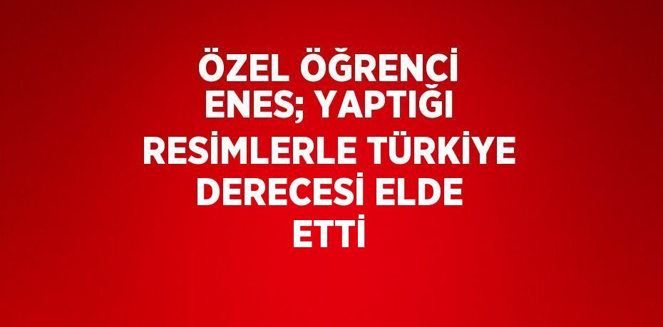 ÖZEL ÖĞRENCİ ENES; YAPTIĞI RESİMLERLE TÜRKİYE DERECESİ ELDE ETTİ