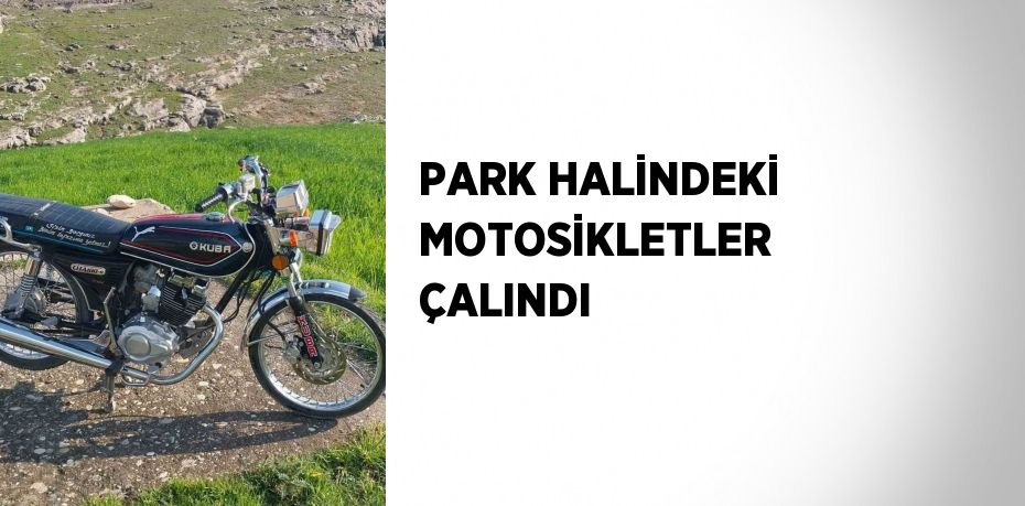 PARK HALİNDEKİ MOTOSİKLETLER ÇALINDI