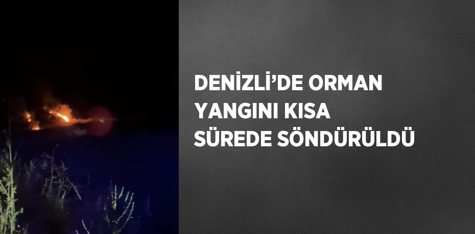 DENİZLİ’DE ORMAN YANGINI KISA SÜREDE SÖNDÜRÜLDÜ