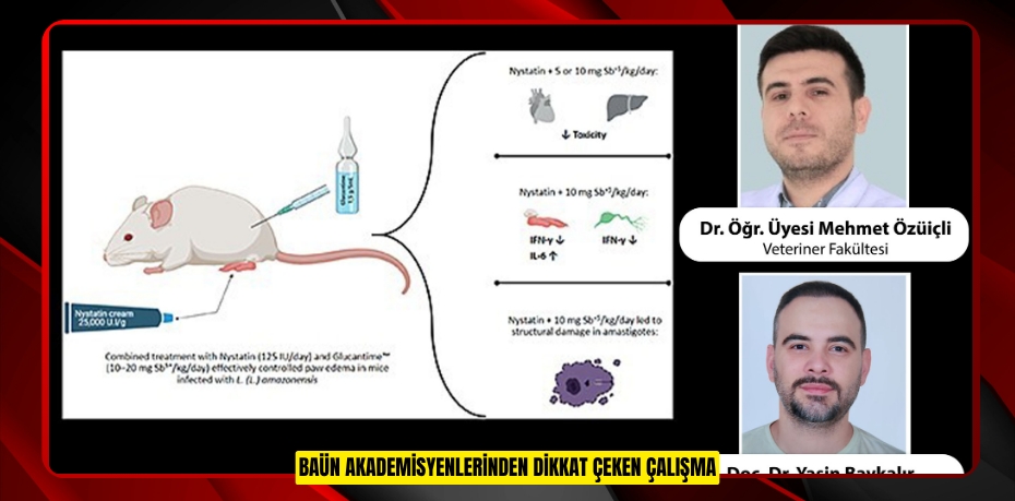 ETLİK PİLİÇLERDE PROBİYOTİKLERLE ANTİKOKSİDİYALLERE ALTERNATİF MÜMKÜN MÜ? BAÜN AKADEMİSYENLERİNDEN DİKKAT ÇEKEN ÇALIŞMA