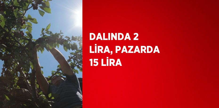 DALINDA 2 LİRA, PAZARDA 15 LİRA